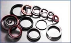 Chinasealings Group Inc Provides Various High-Quality Oil Seals
